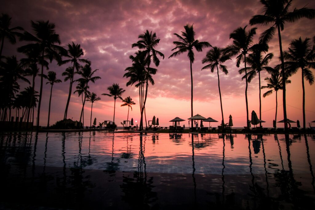 夏の海
